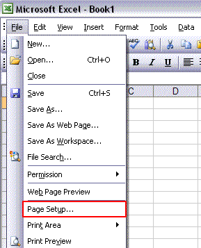 Excel 2003 Page Setup
