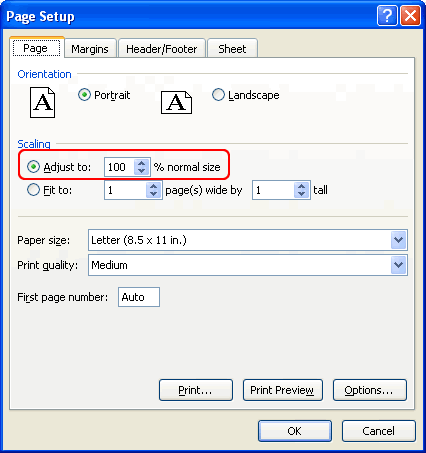Excel 2007 Page Setup Adjust Window